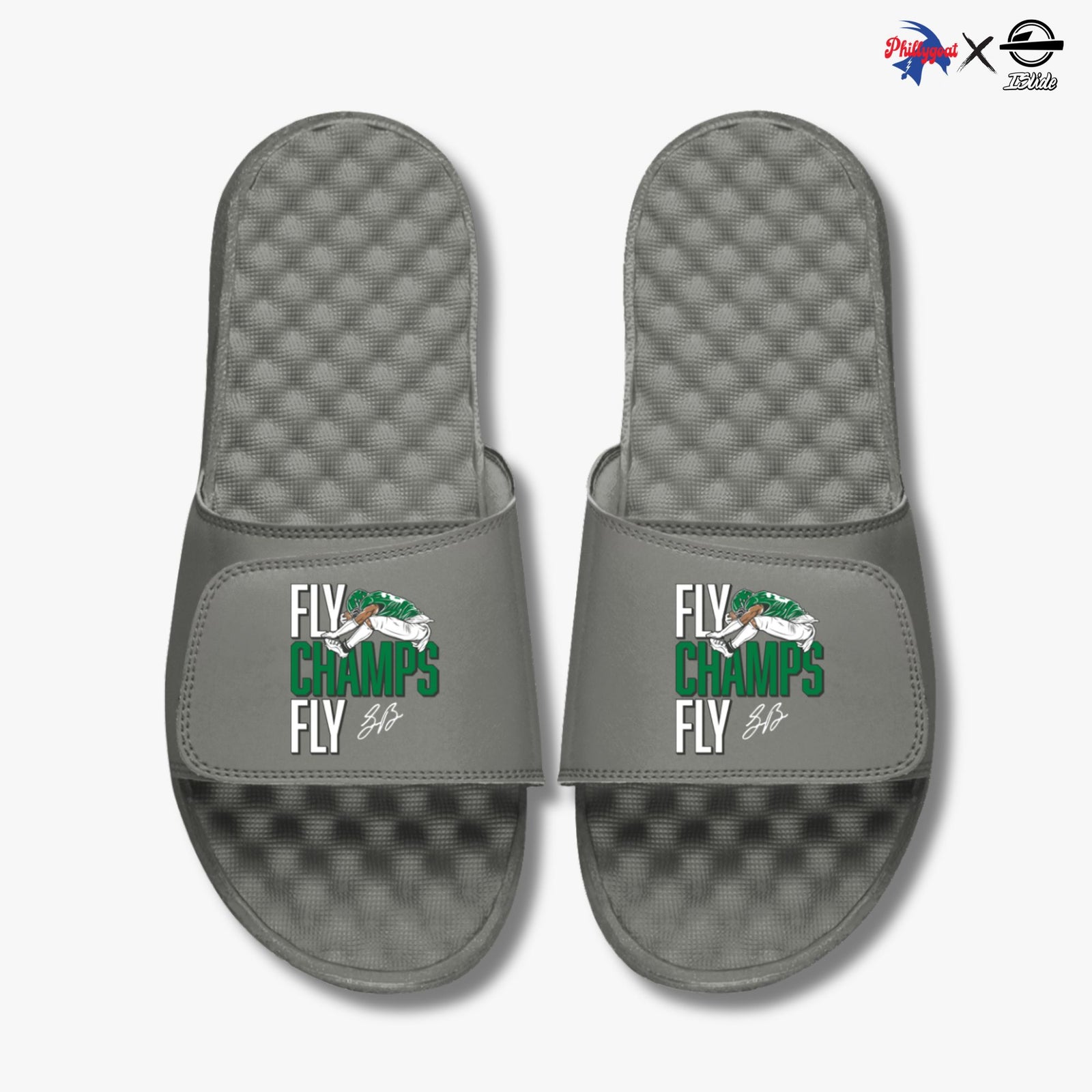 "Fly Champs Fly" Slides