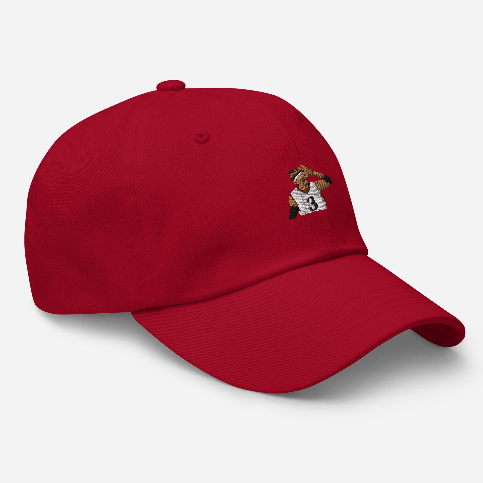 "The Answer" Dad Hat