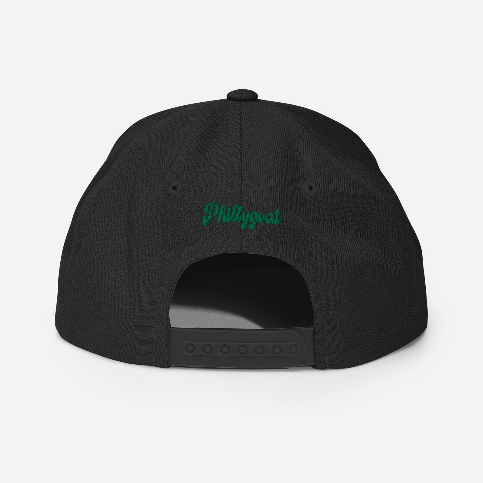 "Philadelphia Birds" Snapback Hat