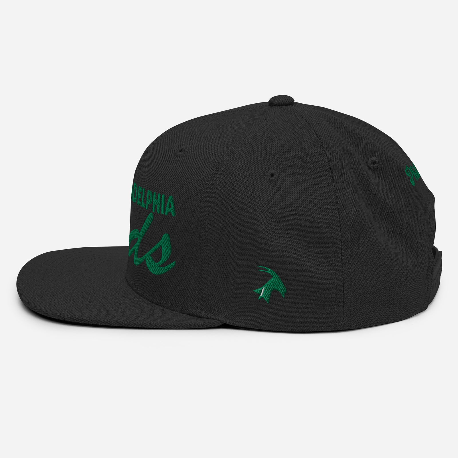 "Philadelphia Birds" Snapback Hat