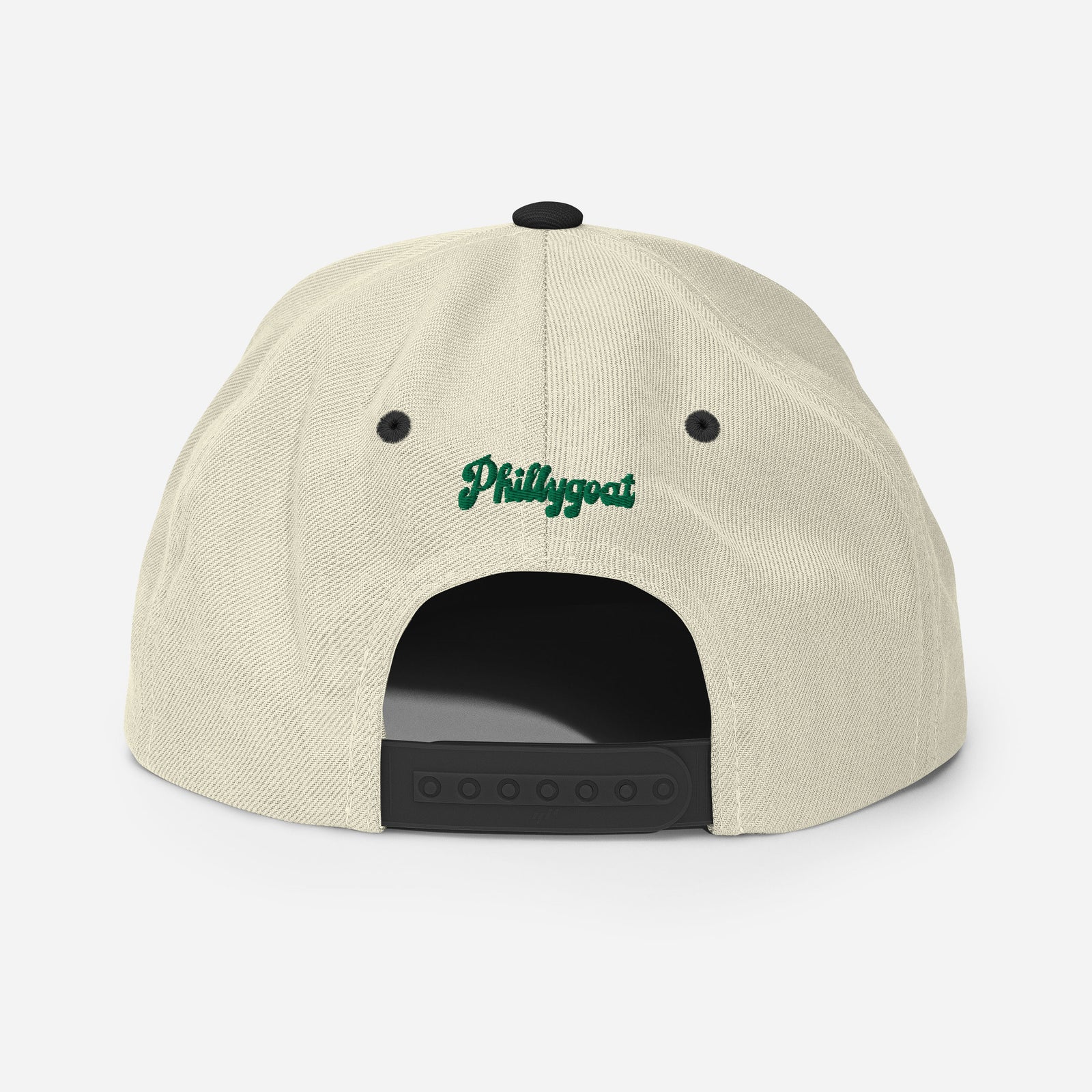 "Philadelphia Birds" Snapback Hat