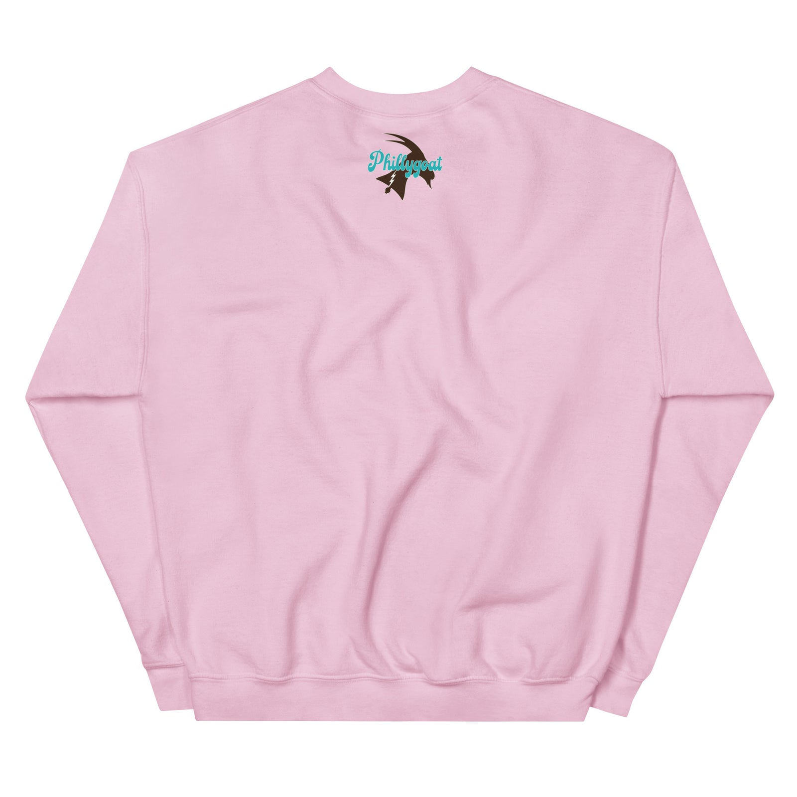 "I Climbed Mt. Airy" Sweatshirt