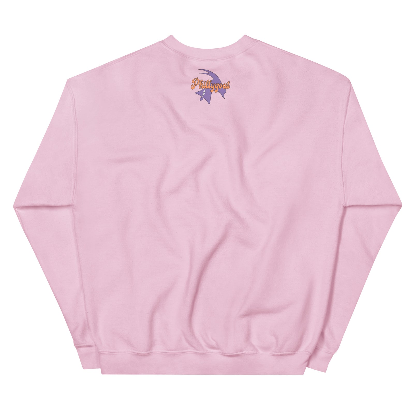 "Philly Is Not Normal" Sweatshirt