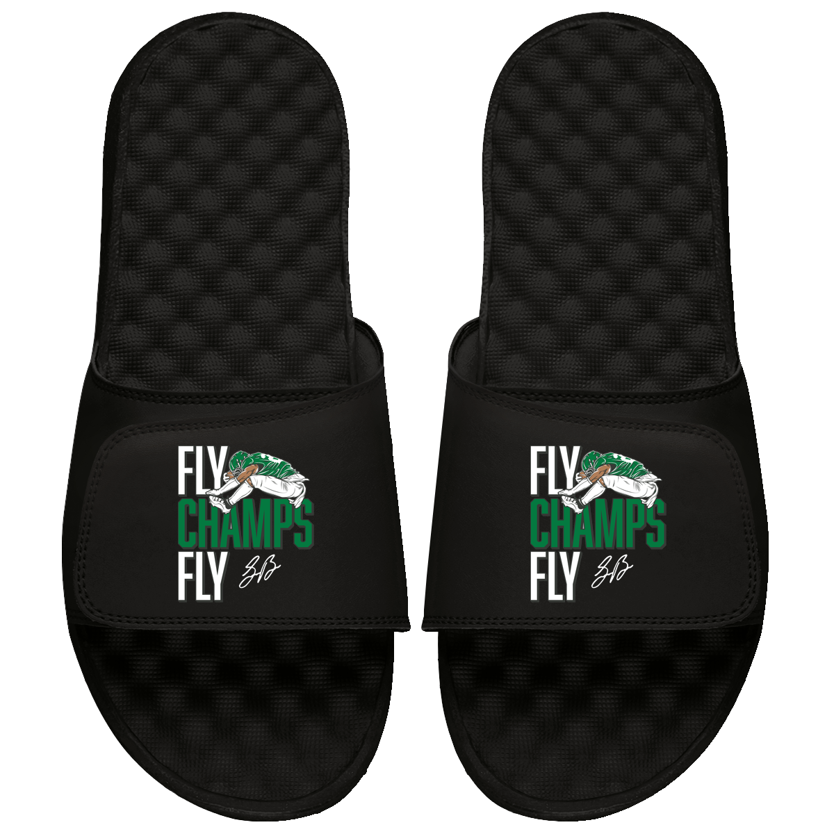 "Fly Champs Fly" Slides