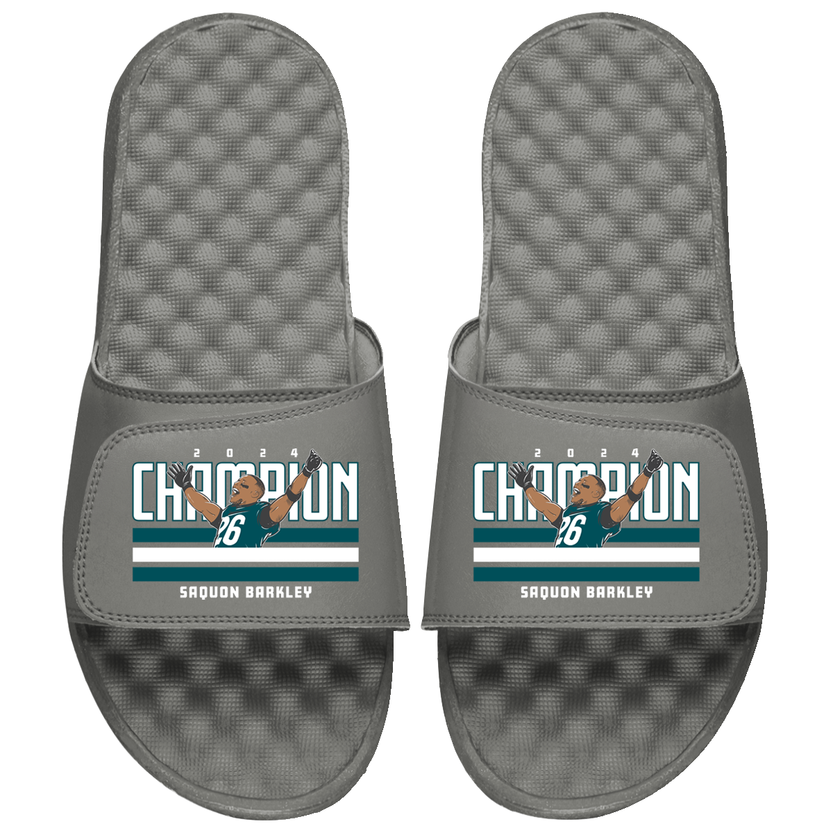 &quot;#26 2024 Champion&quot; Slides