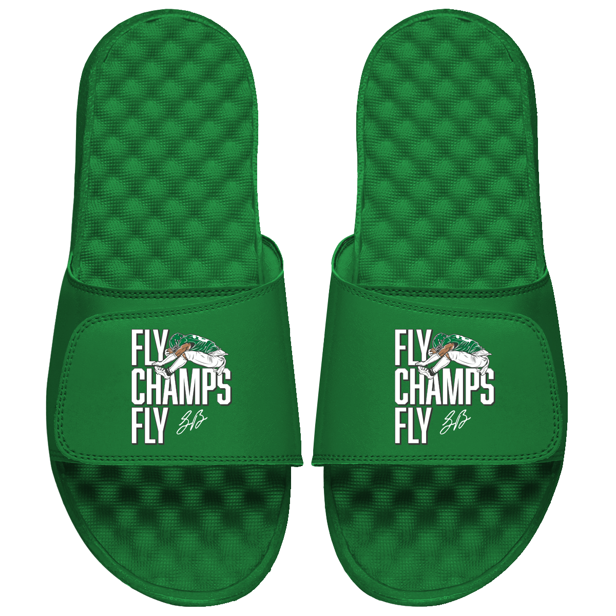 &quot;Fly Champs Fly&quot; Slides