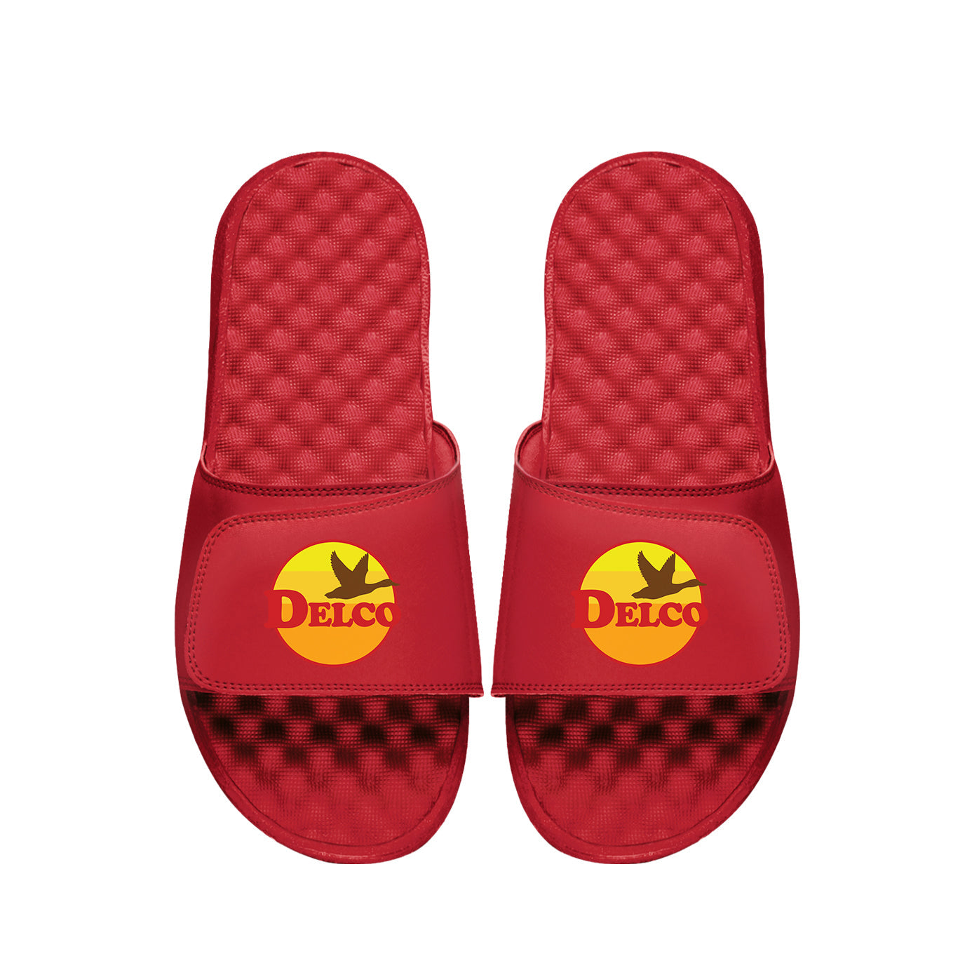 "Delco Goose" Slides