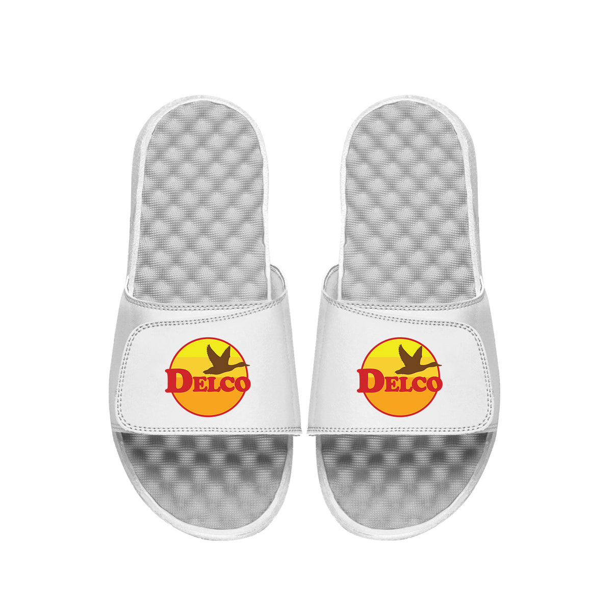 "Delco Goose" Slides