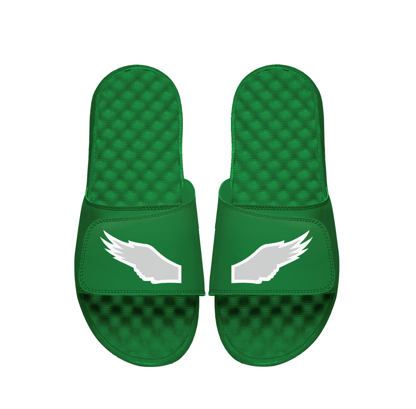 "Bird Wings" Slides