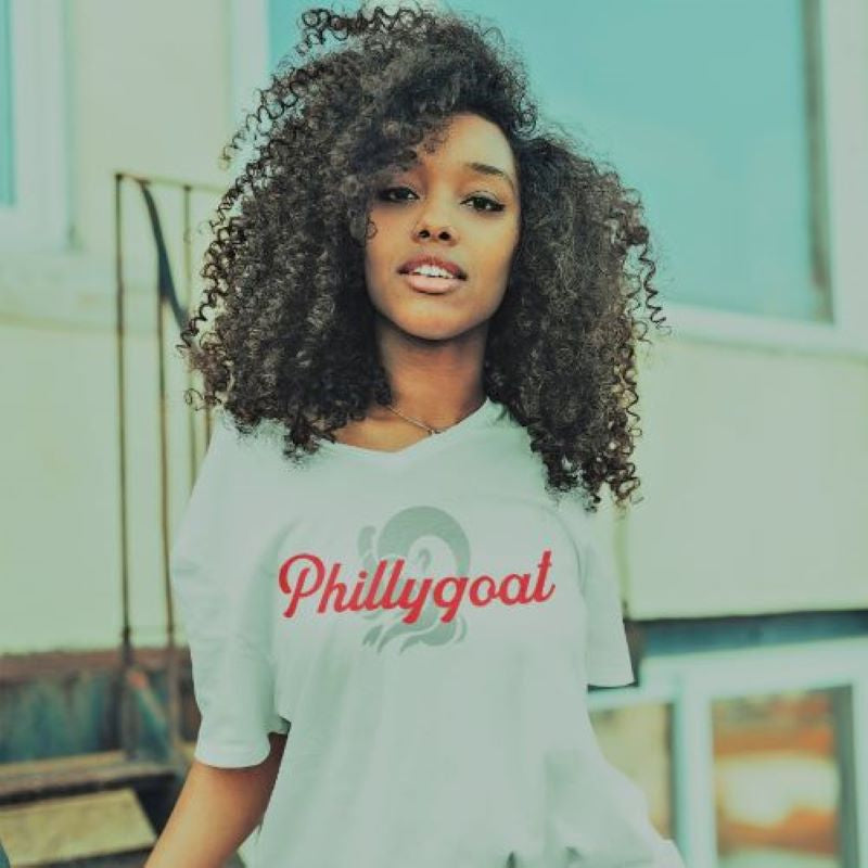 Philadelphia Sillies Womens Pinstripe Premium Baseball Jersey Tee | Phillies Inspired | phillygoat XS