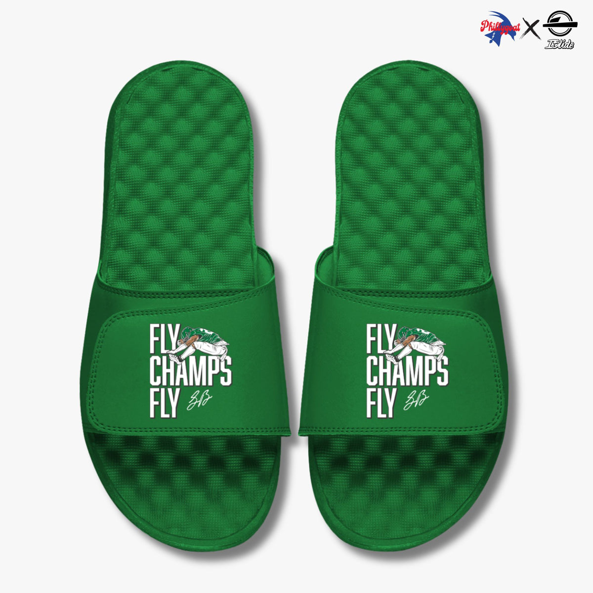 &quot;Fly Champs Fly&quot; Slides