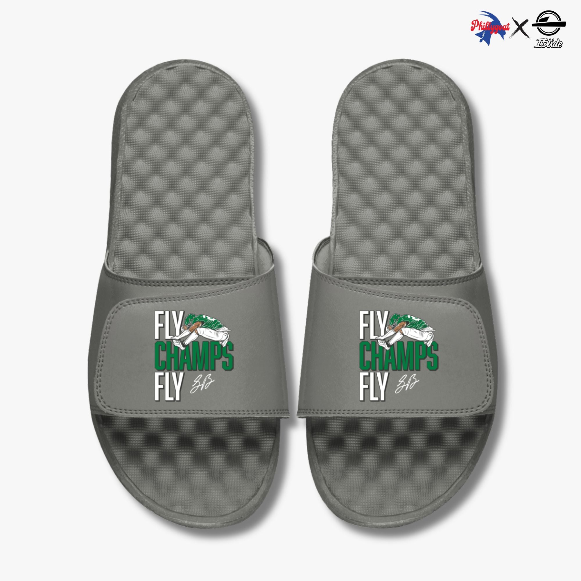 "Fly Champs Fly" Slides