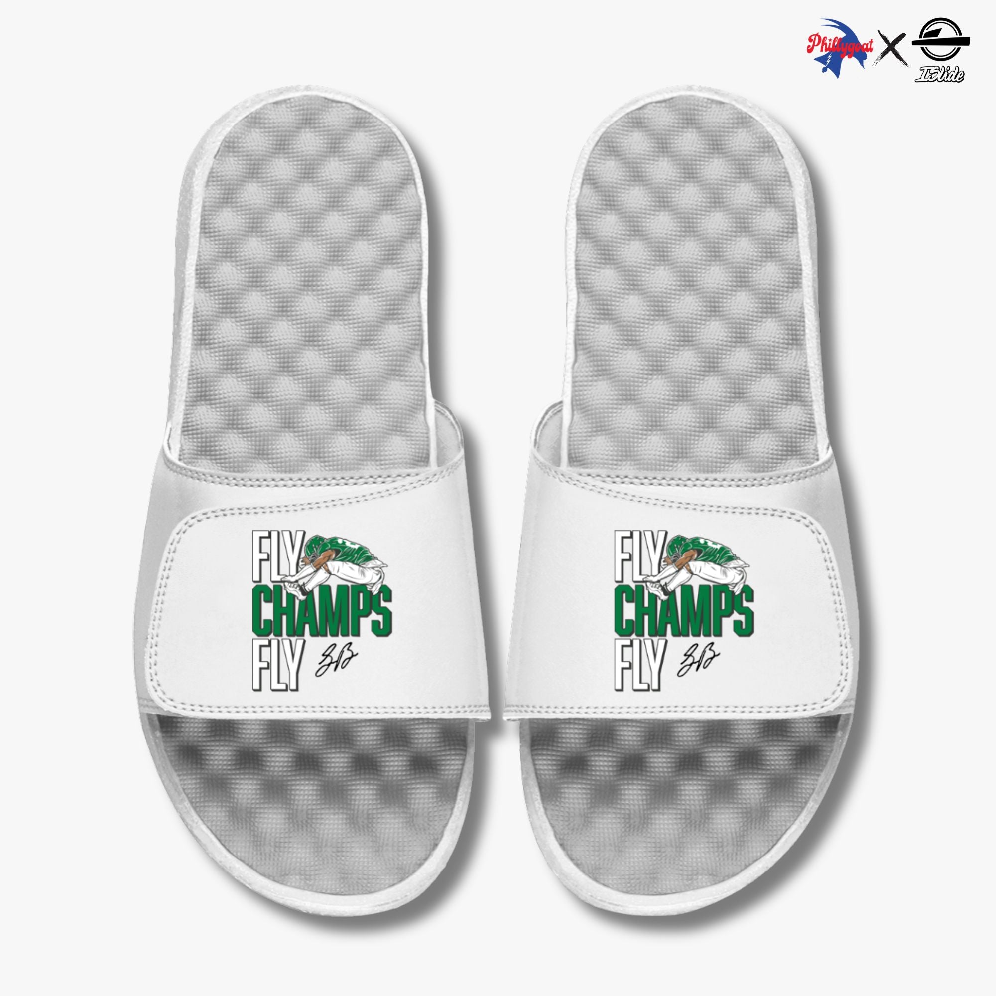 "Fly Champs Fly" Slides