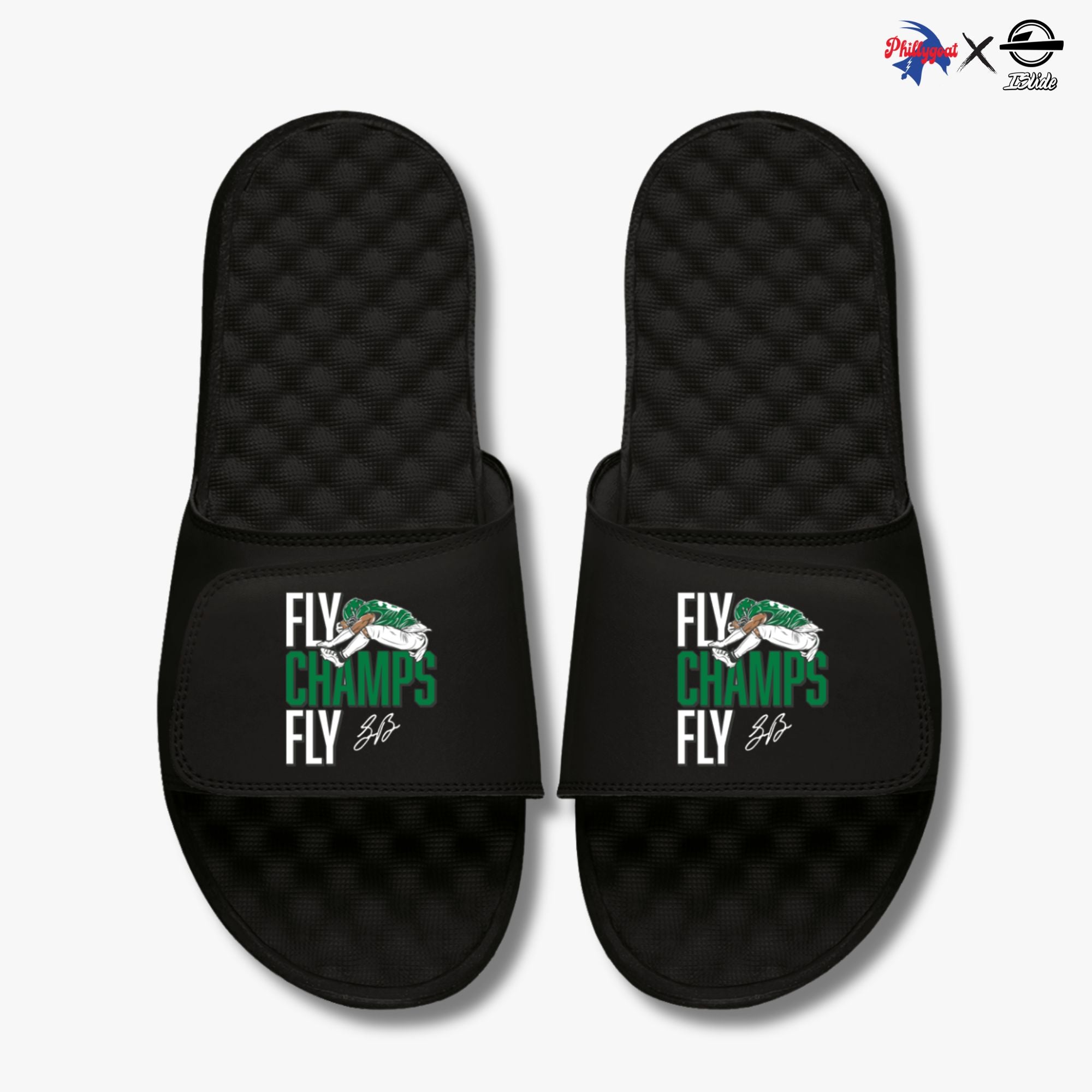 "Fly Champs Fly" Slides