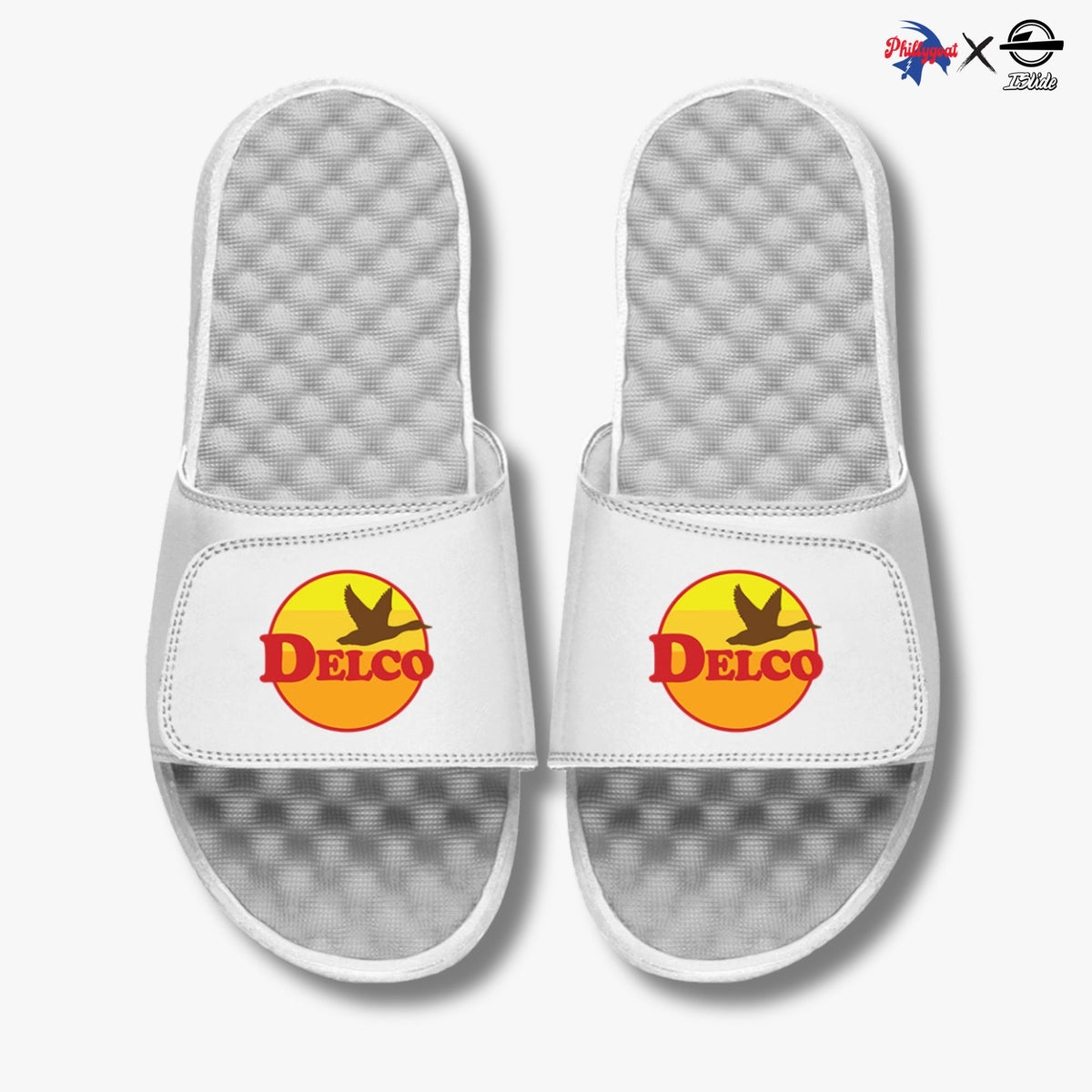 &quot;Delco Goose&quot; Slides