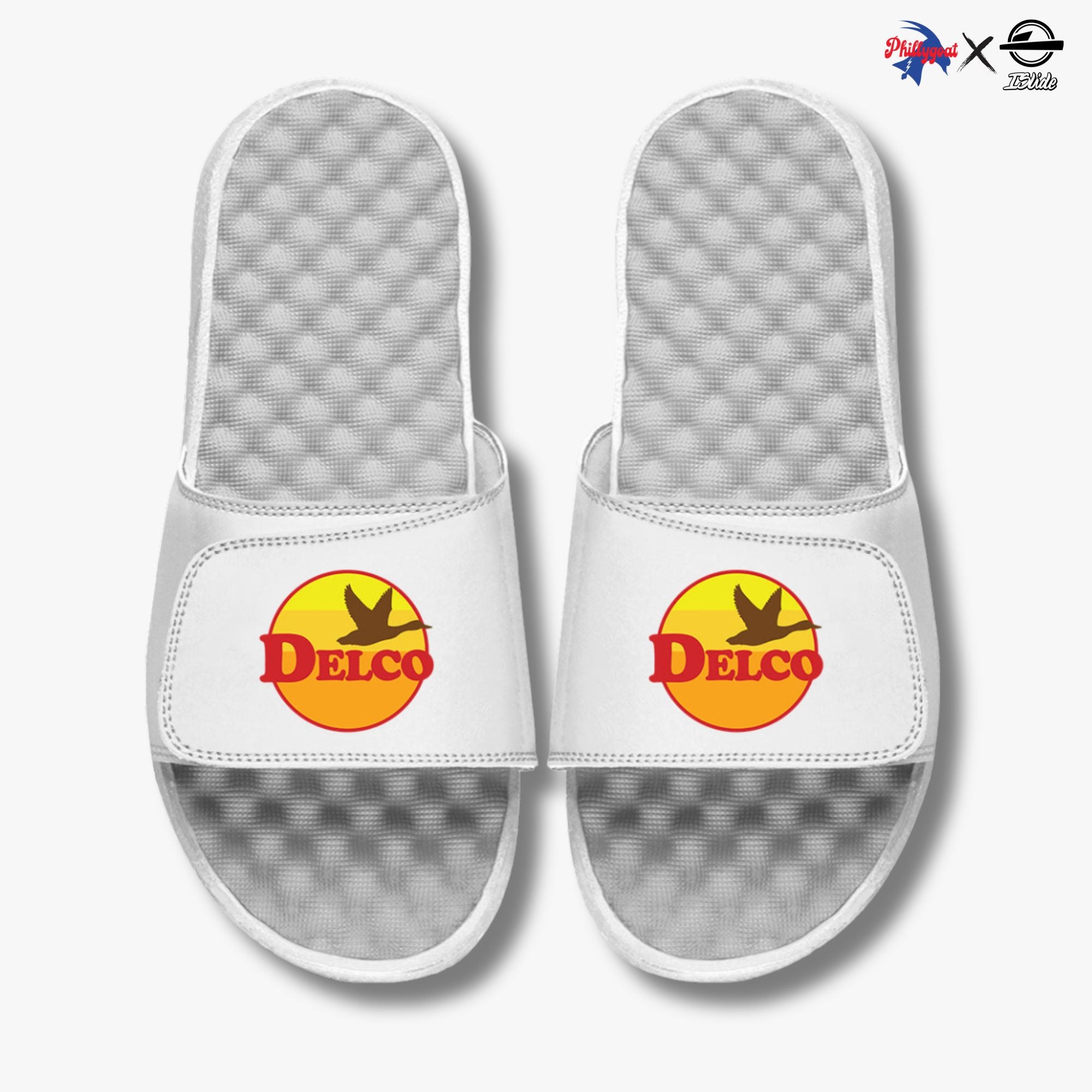 "Delco Goose" Slides