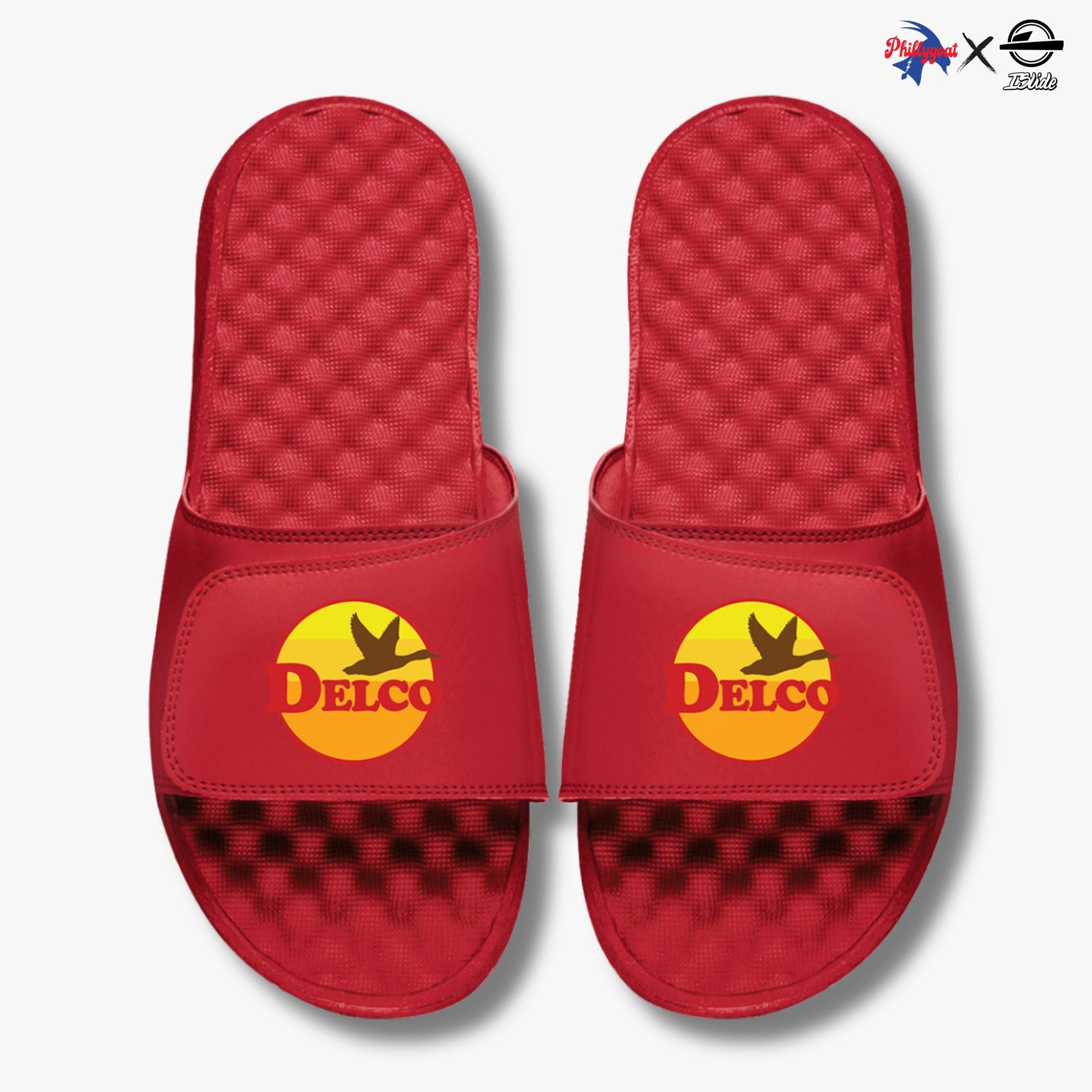 "Delco Goose" Slides