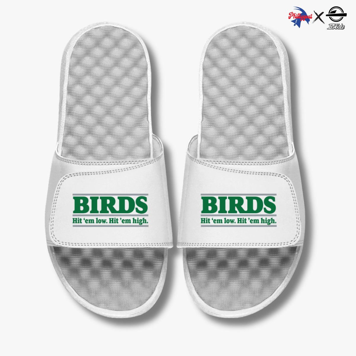 &quot;Birds Hit &#39;Em Low, Hit &#39;Em High&quot; Slides