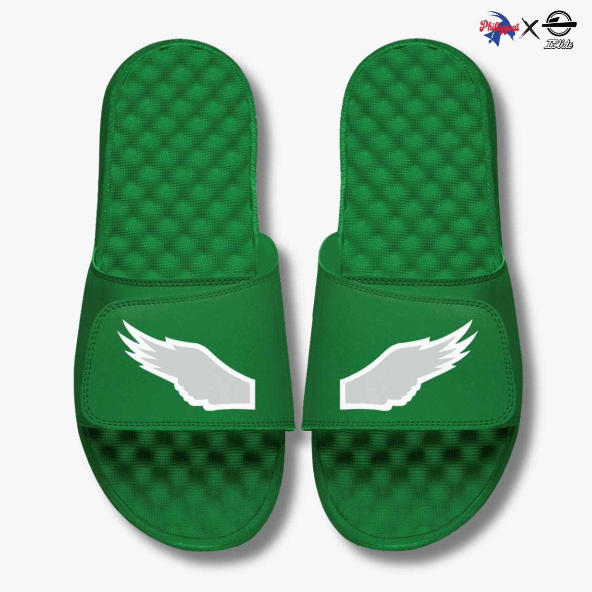 &quot;Bird Wings&quot; Slides