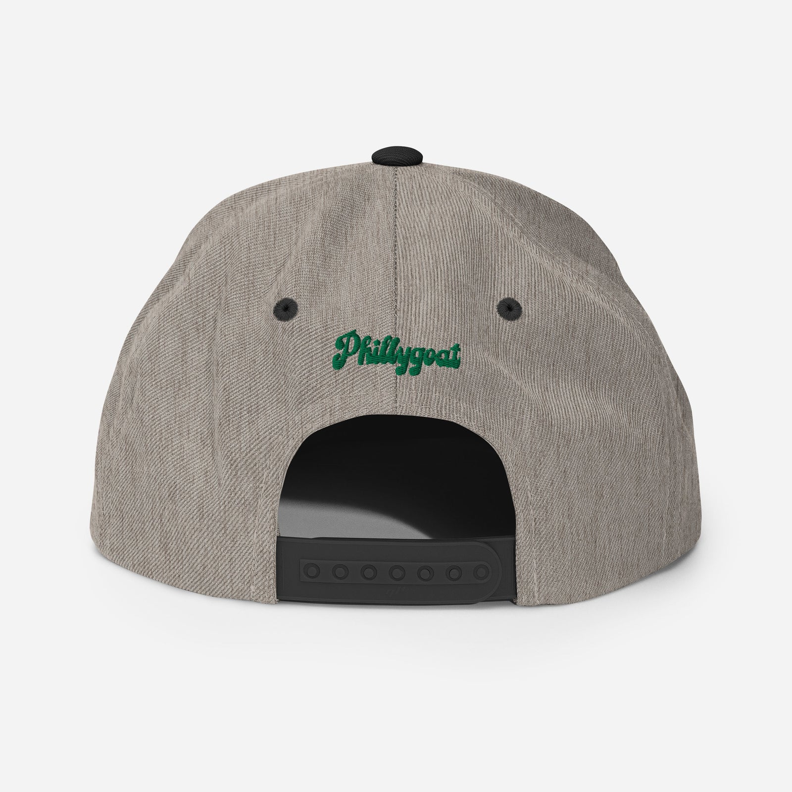 "Philadelphia Birds" Snapback Hat