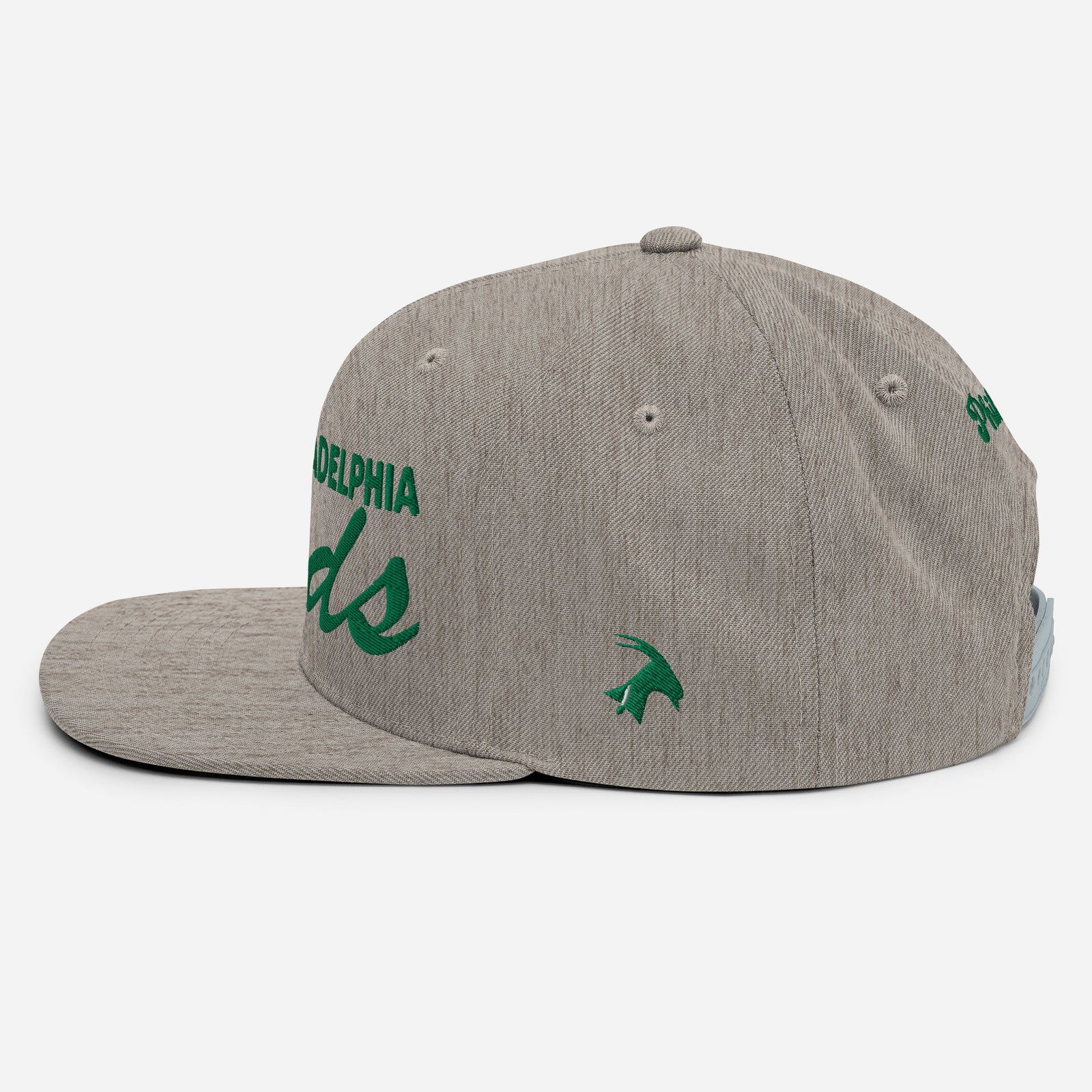 "Philadelphia Birds" Snapback Hat