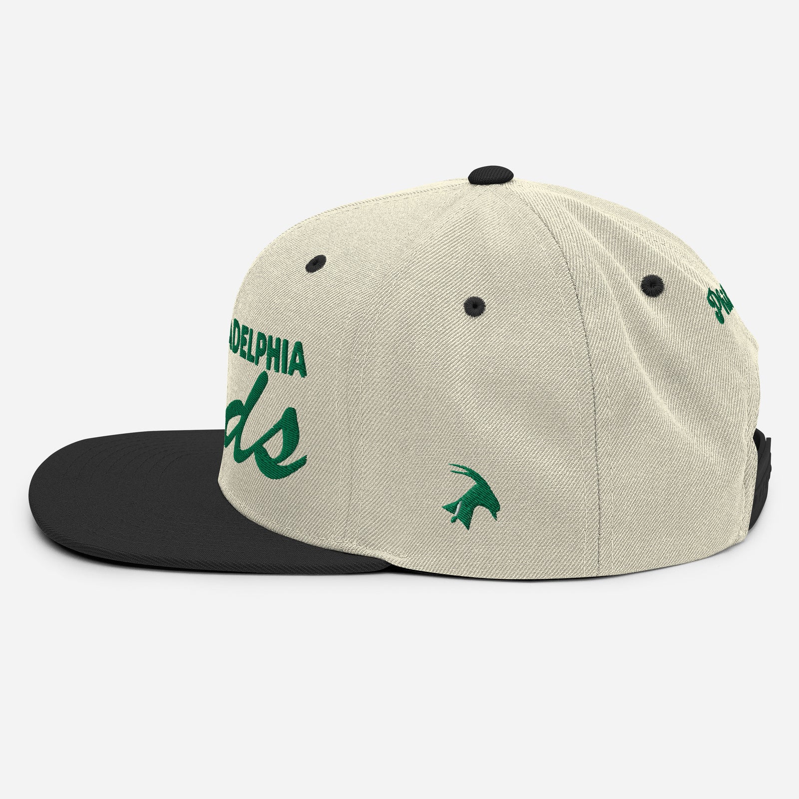 "Philadelphia Birds" Snapback Hat