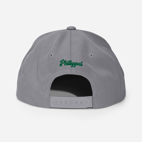 Philadelphia Birds Snapback Hat | Philly Football | Eagles Inspired | Phillygoat Black