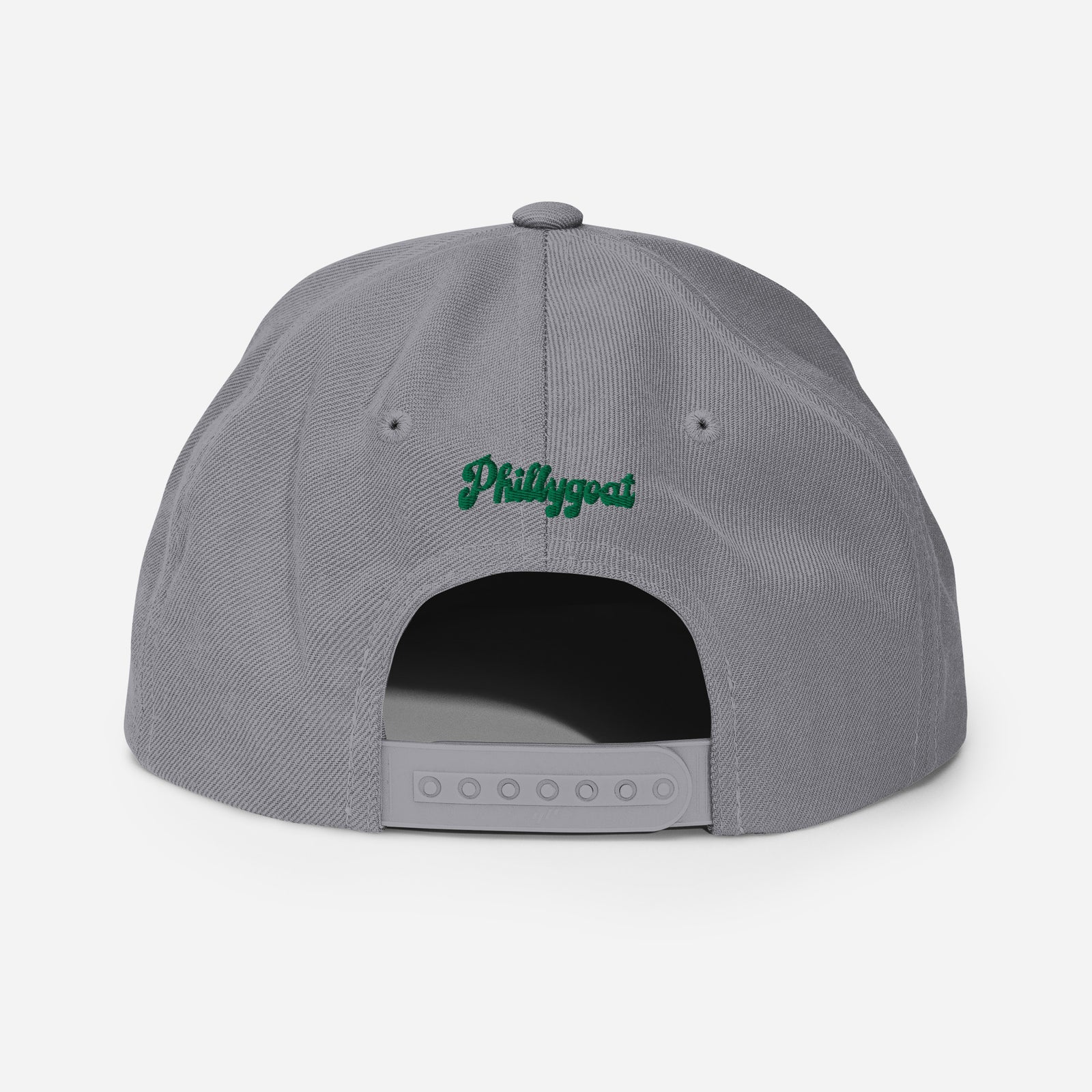 "Philadelphia Birds" Snapback Hat