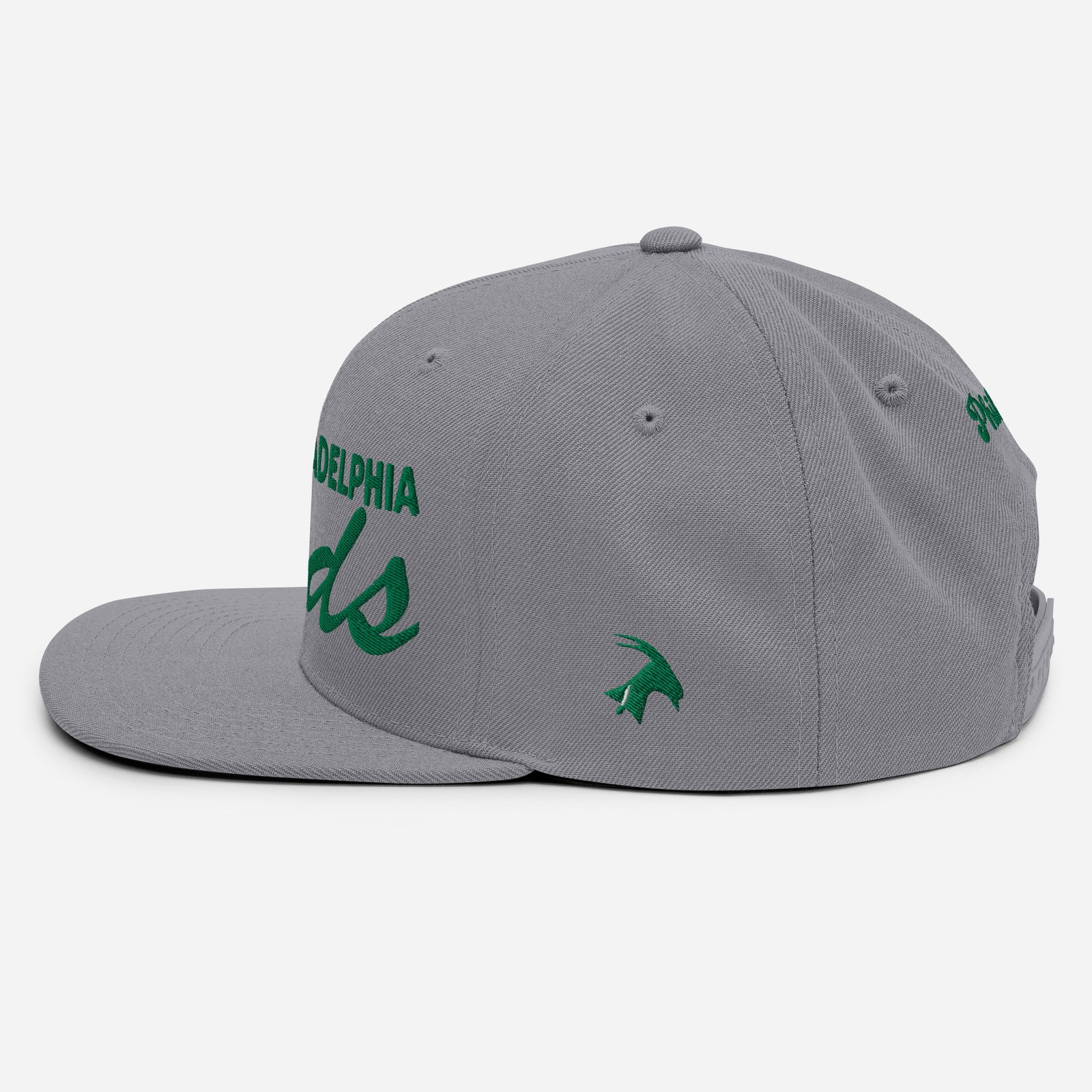 "Philadelphia Birds" Snapback Hat