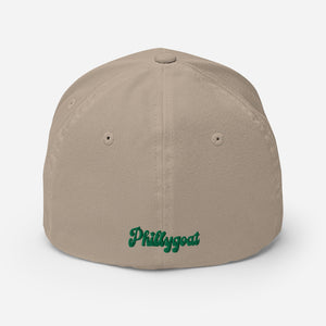 Philadelphia FLY Flexfit Hat, Go Birds